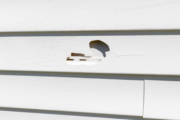 Best Steel Siding Installation  in Chain Lake, WA